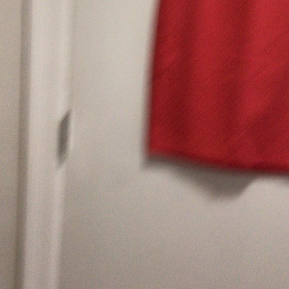 The Limited Red Skirt